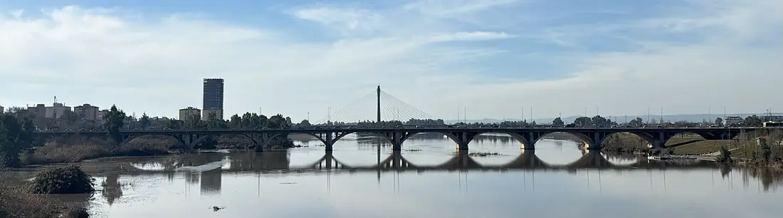 El Guadiana y el puente de la Universidad