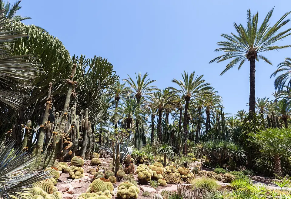 Jardín Huerto del Cura