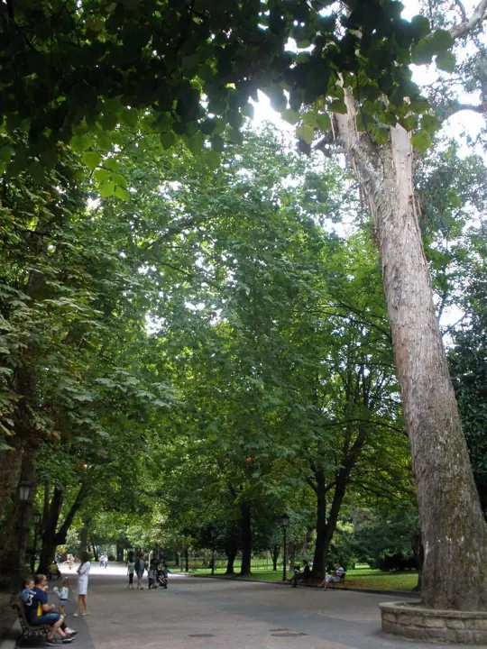 Campo de San Francisco